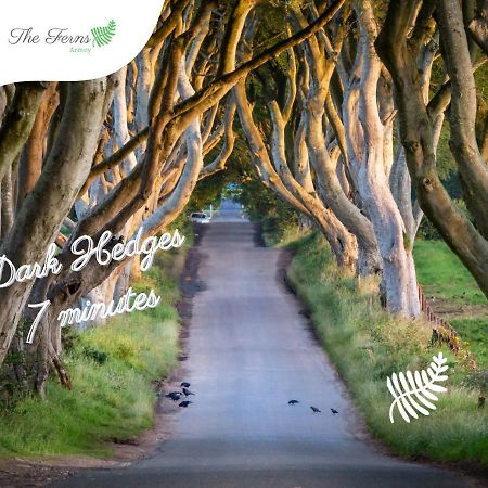 The Ferns-Ideal Base For Exploring The Causeway Coast Armoy Exteriör bild