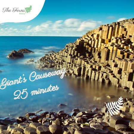 The Ferns-Ideal Base For Exploring The Causeway Coast Armoy Exteriör bild