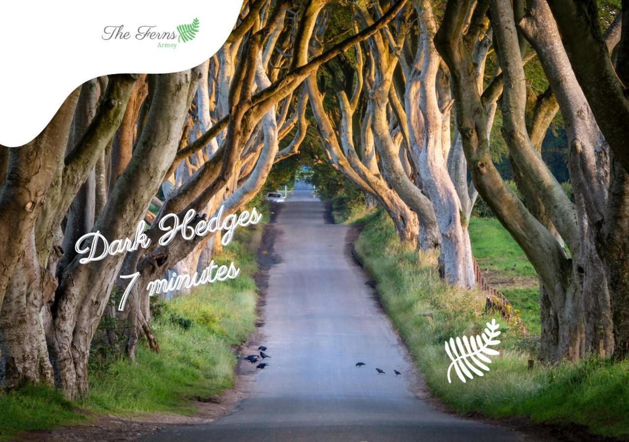 The Ferns-Ideal Base For Exploring The Causeway Coast Armoy Exteriör bild