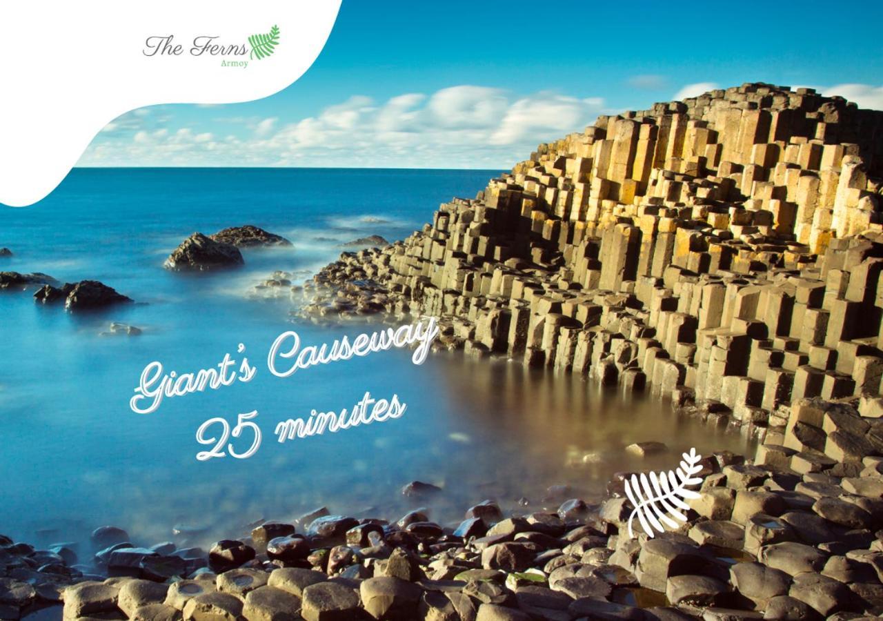 The Ferns-Ideal Base For Exploring The Causeway Coast Armoy Exteriör bild